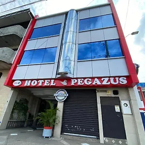 Pegazus Guayaquil